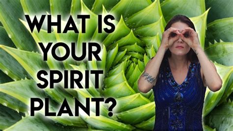 Plant Symbolism And How To Find Your Spirit Plant.